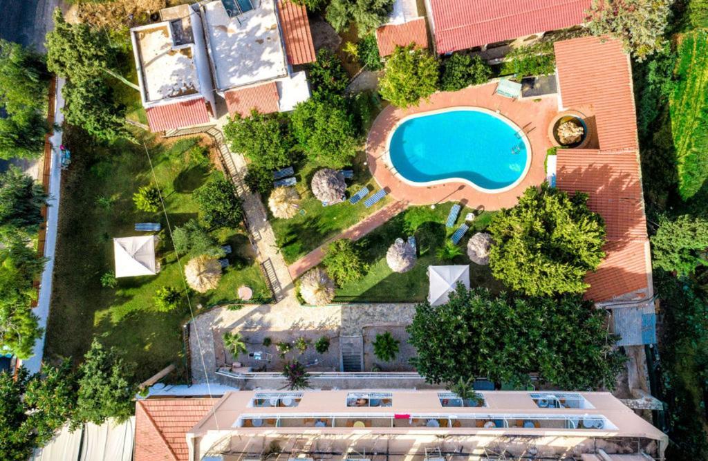 Harmony Hotel & Studio Малиа Экстерьер фото